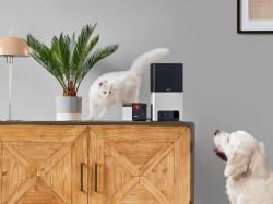 Petcube