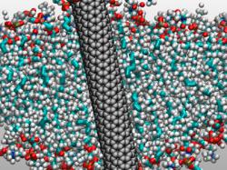 Вчені знають як перетворити морську воду в питну/  A computer representation of a carbon nanotube. Photo: Y. Zhang, A. Noy, 2017 